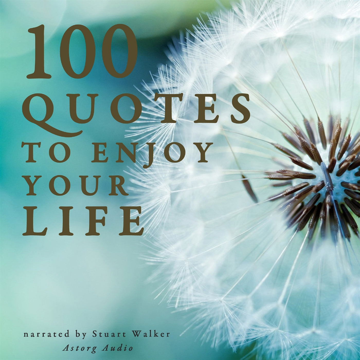 100 Quotes to Enjoy your Life – Ljudbok