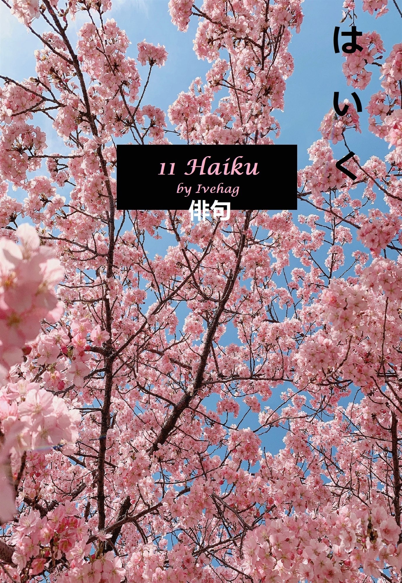 11 Haiku: By Ivehag – E-bok