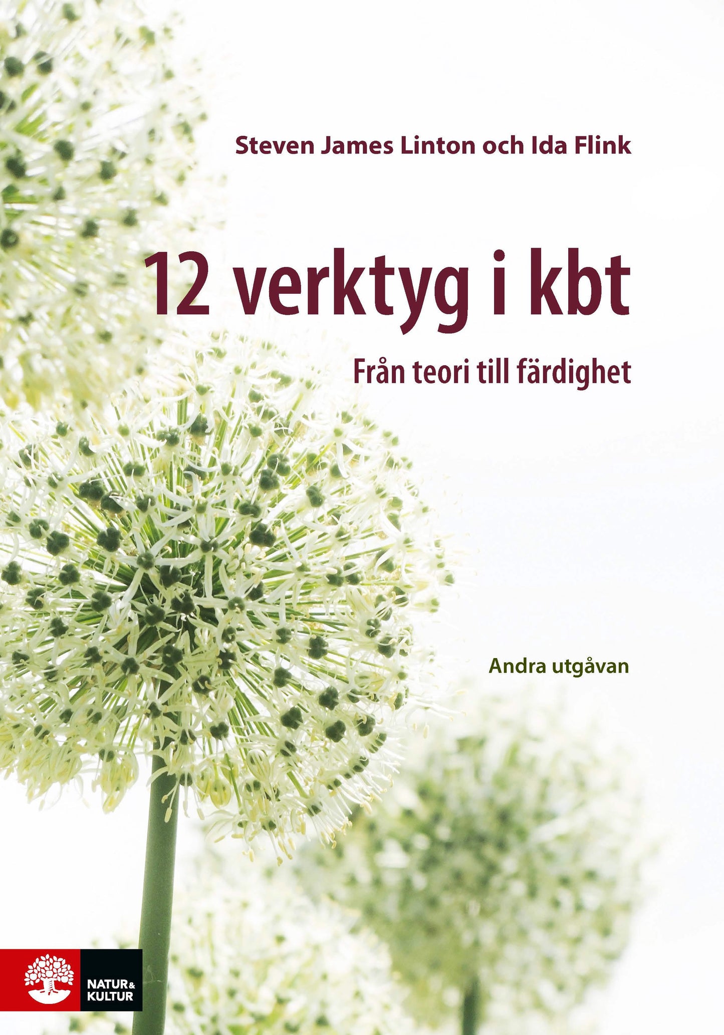 12 verktyg i kbt : från teori till färdighet – E-bok