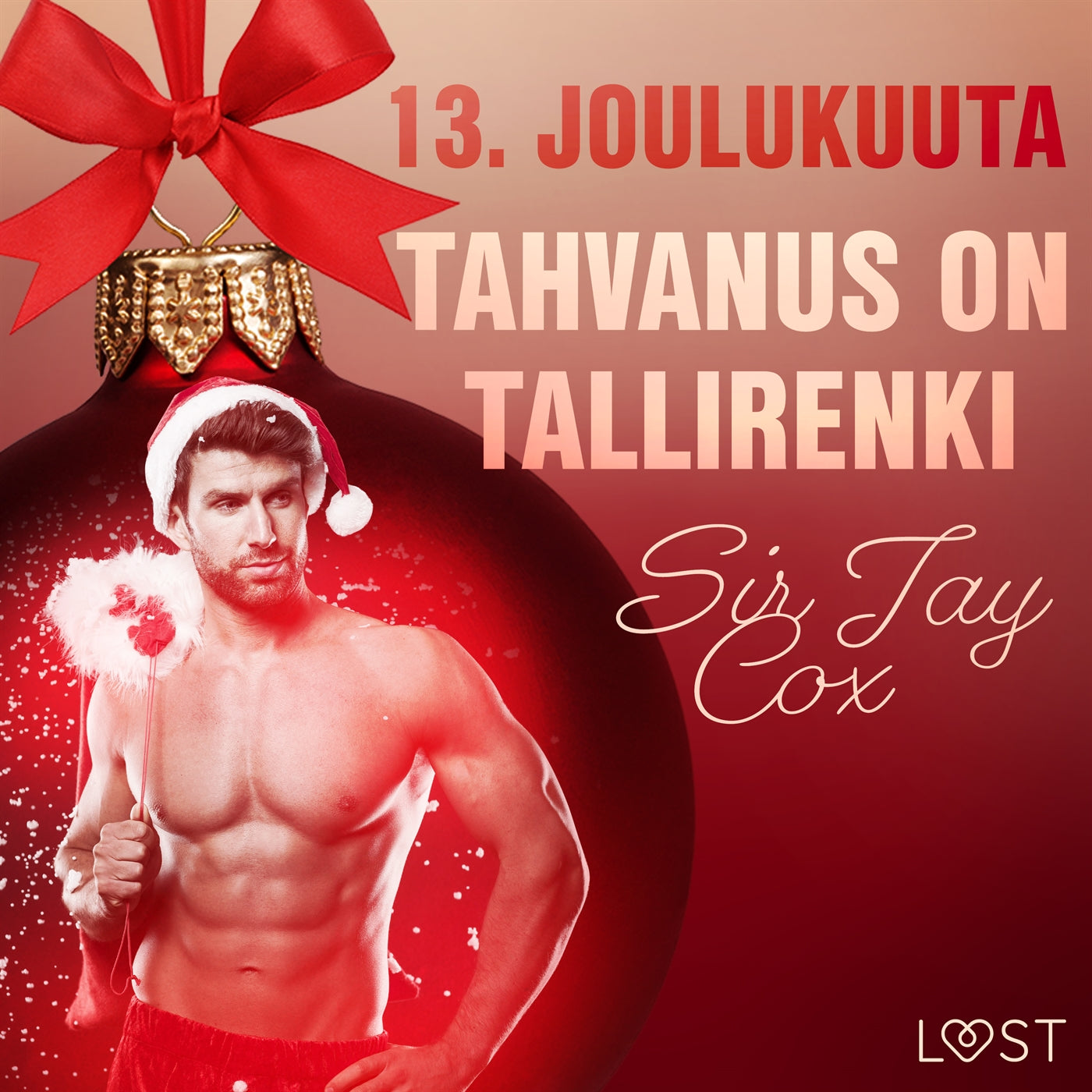 13. joulukuuta: Tahvanus on tallirenki – eroottinen joulukalenteri – E-bok