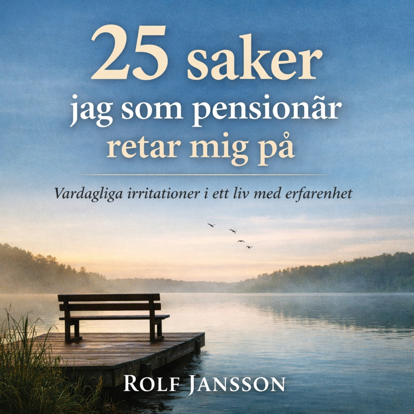 25 saker jag som pensionär retar mig på – små irritationer i ett liv med erfarenhet – Ljudbok
