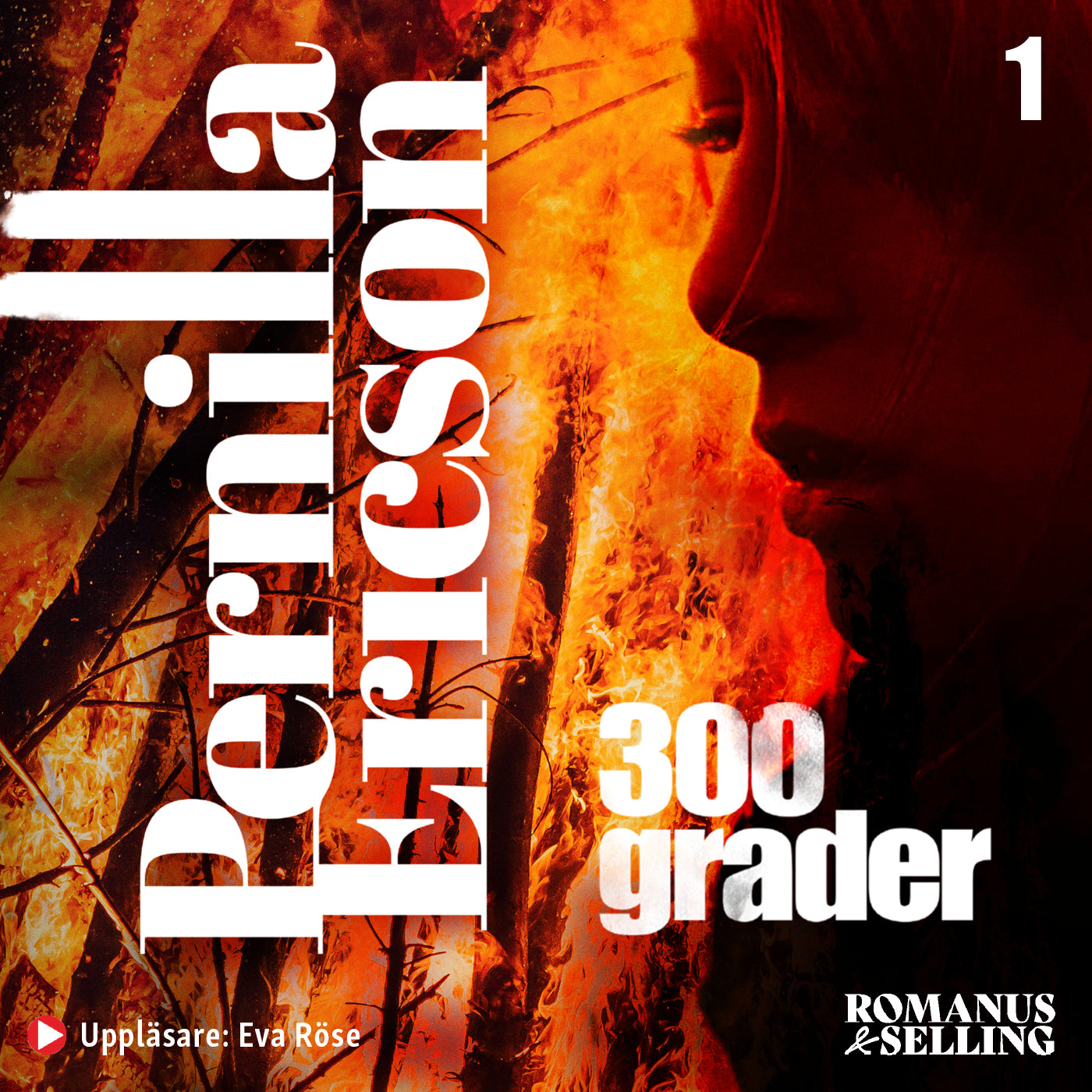300 grader – Ljudbok