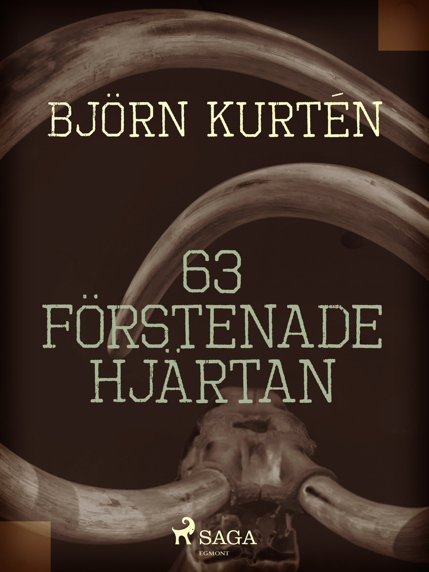63 förstenade hjärtan – E-bok