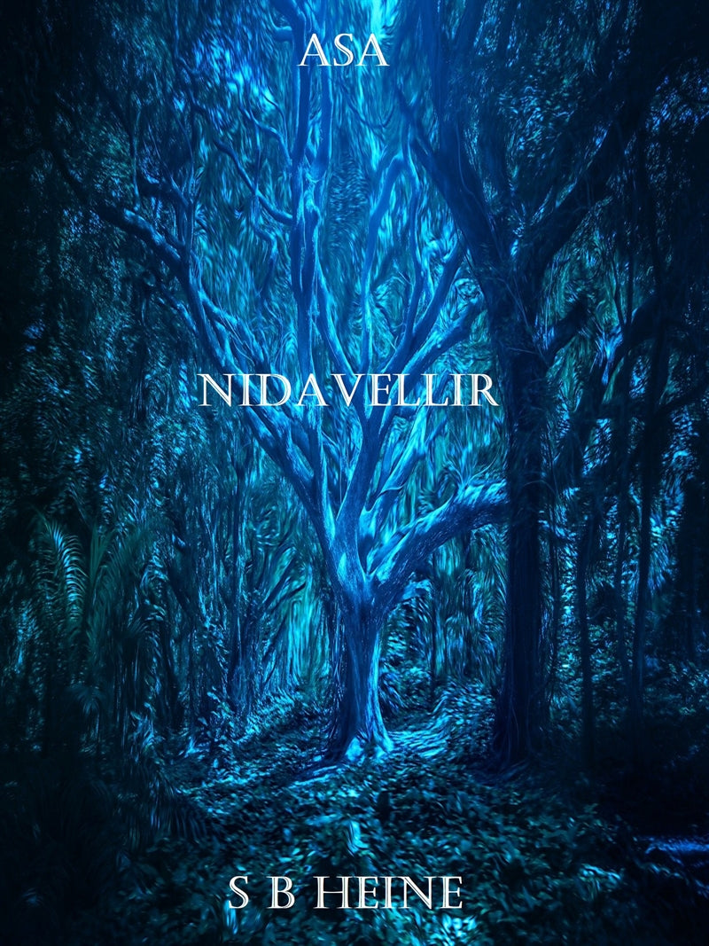 ASA Nidavellir – E-bok