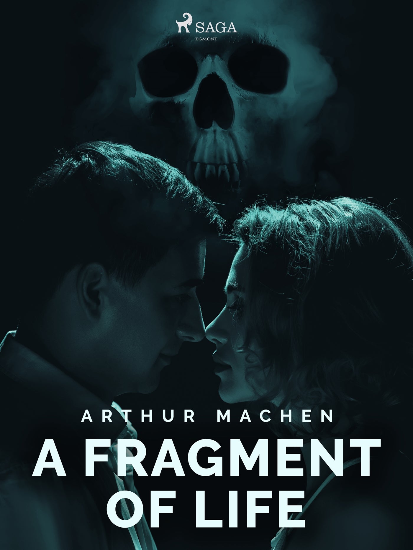 A Fragment of Life – E-bok