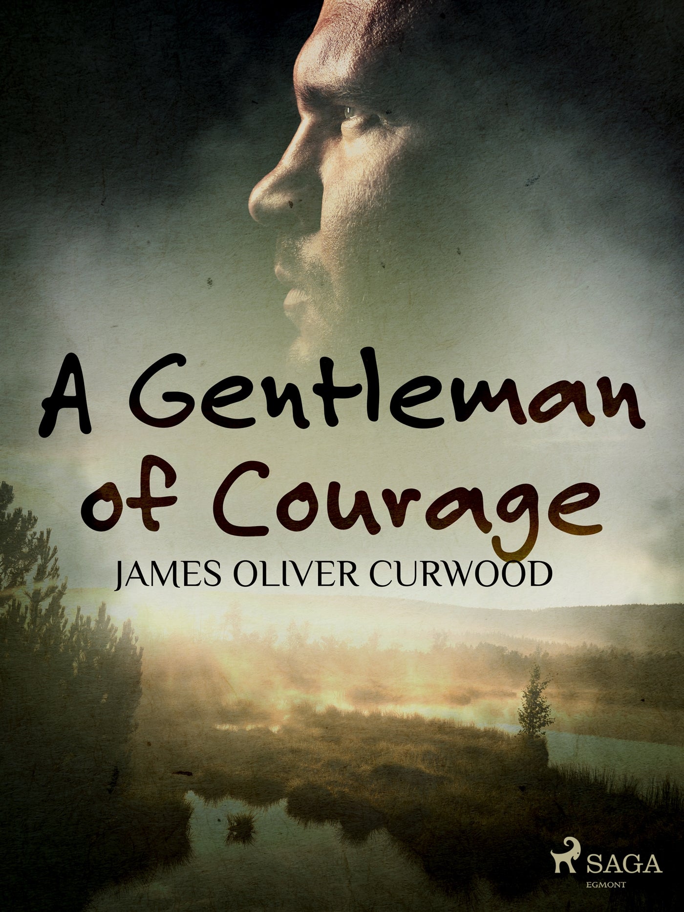 A Gentleman of Courage – E-bok
