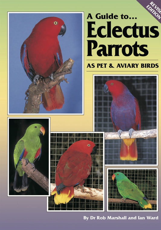 A Guide to Eclectus Parrots as Pet and Aviary Birds – E-bok