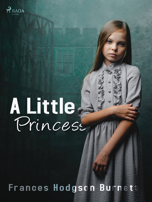 A Little Princess – E-bok