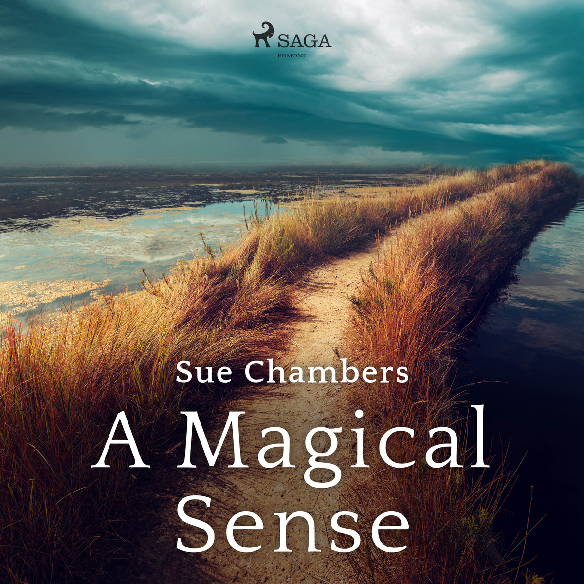 A Magical Sense – Ljudbok