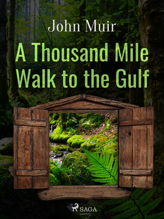 A Thousand Mile Walk to the Gulf – E-bok