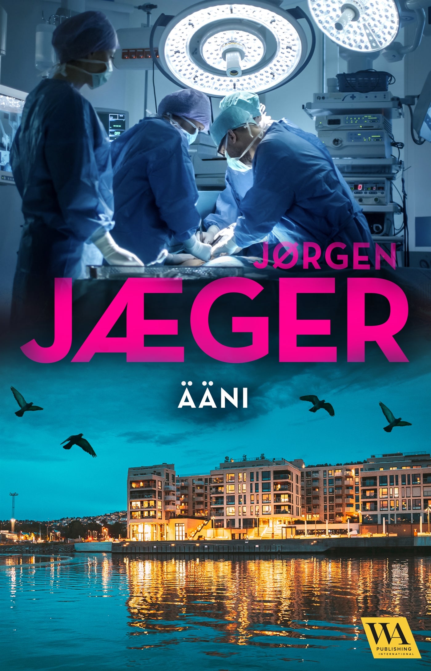 Ääni – E-bok