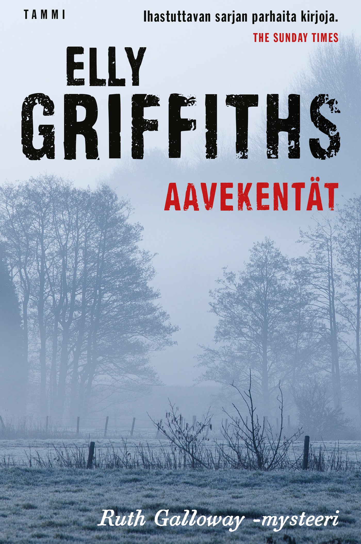 Aavekentät – E-bok