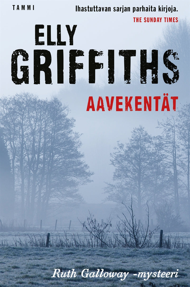 Aavekentät – E-bok