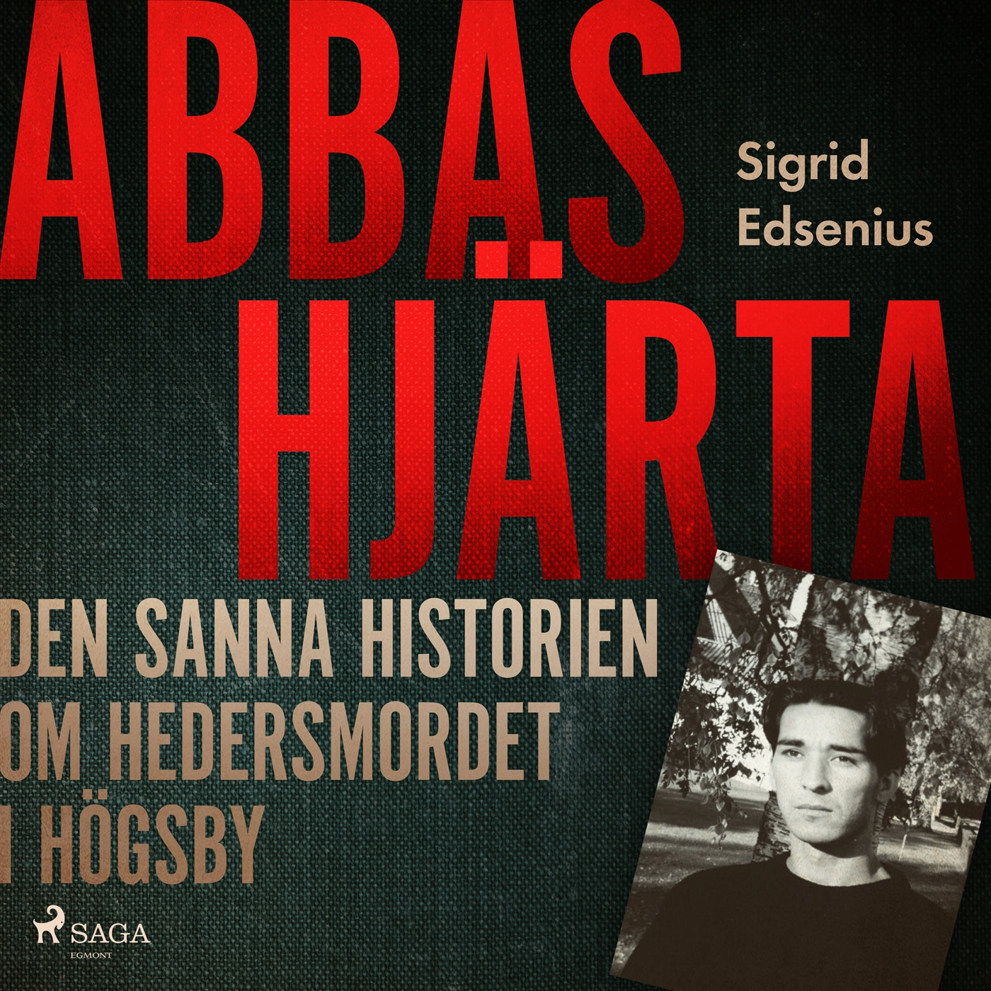 Abbas hjärta – den sanna historien om hedersmordet i Högsby – Ljudbok