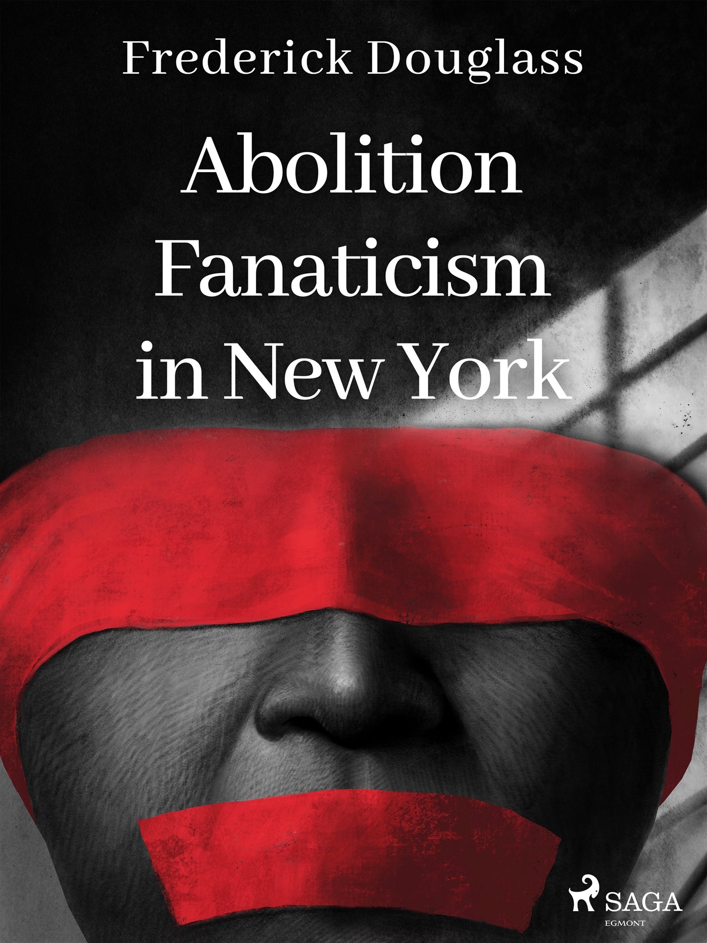Abolition Fanaticism in New York – E-bok