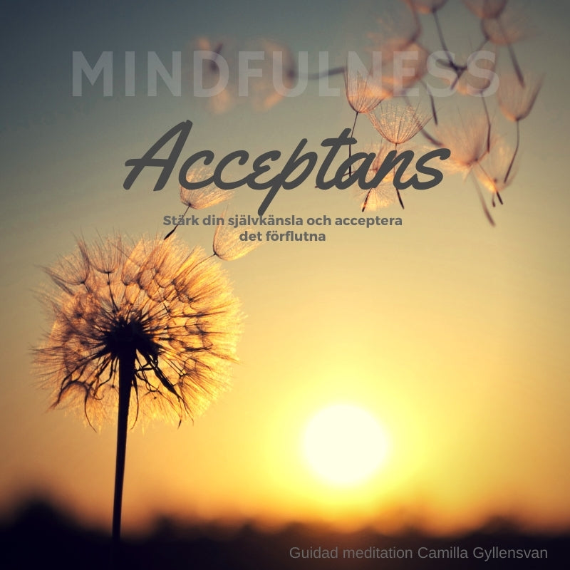 Acceptans – Ljudbok