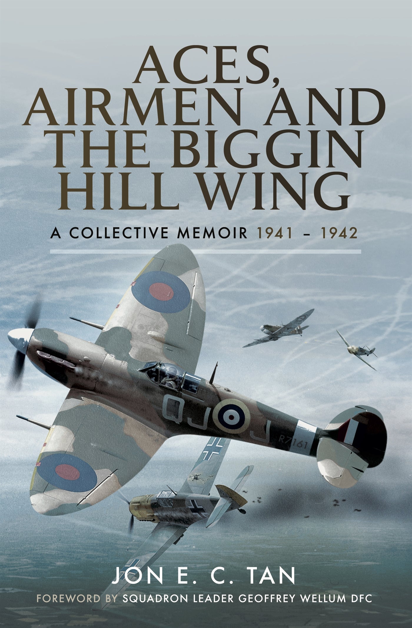 Aces, Airmen and The Biggin Hill Wing – E-bok