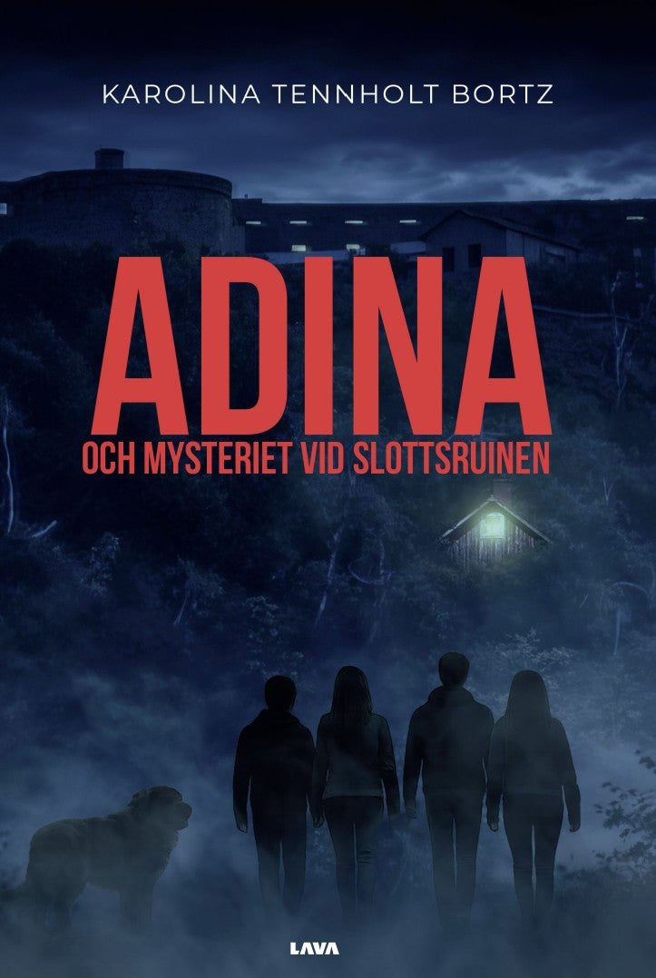 Adina och mysteriet vid slottsruinen – E-bok