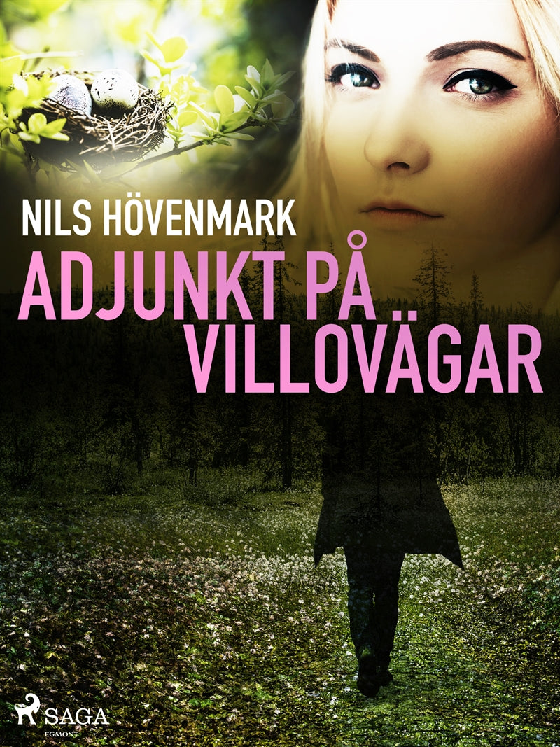 Adjunkt på villovägar – E-bok