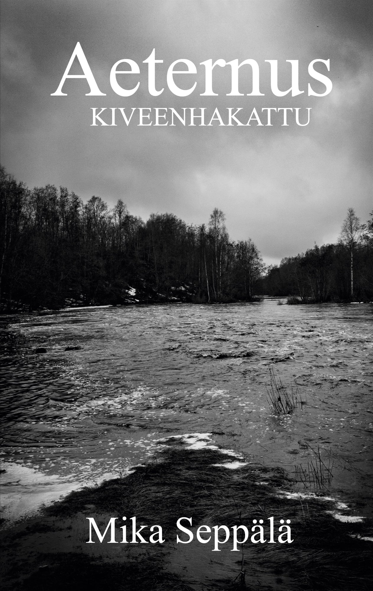 Aeternus: Kiveenhakattu – E-bok