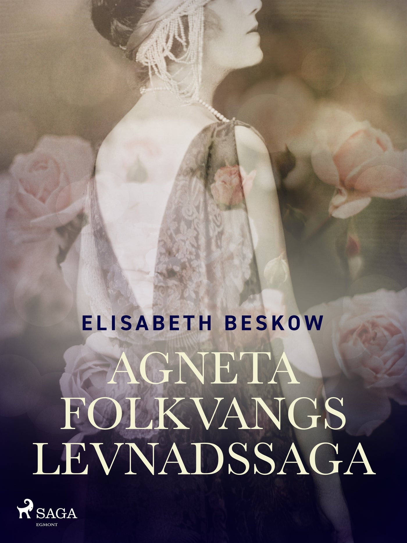 Agneta Folkvangs levnadssaga – E-bok