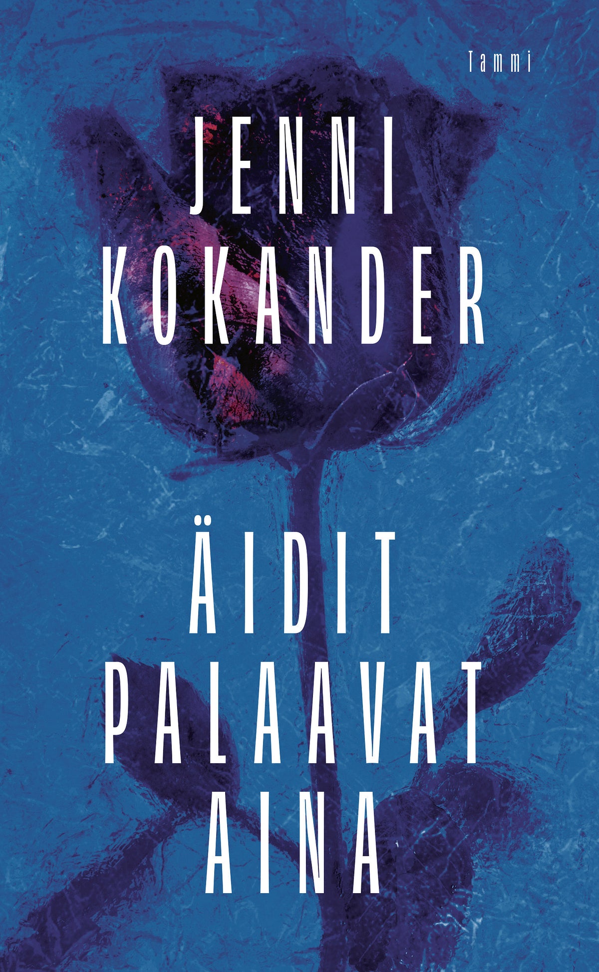 Äidit palaavat aina – E-bok