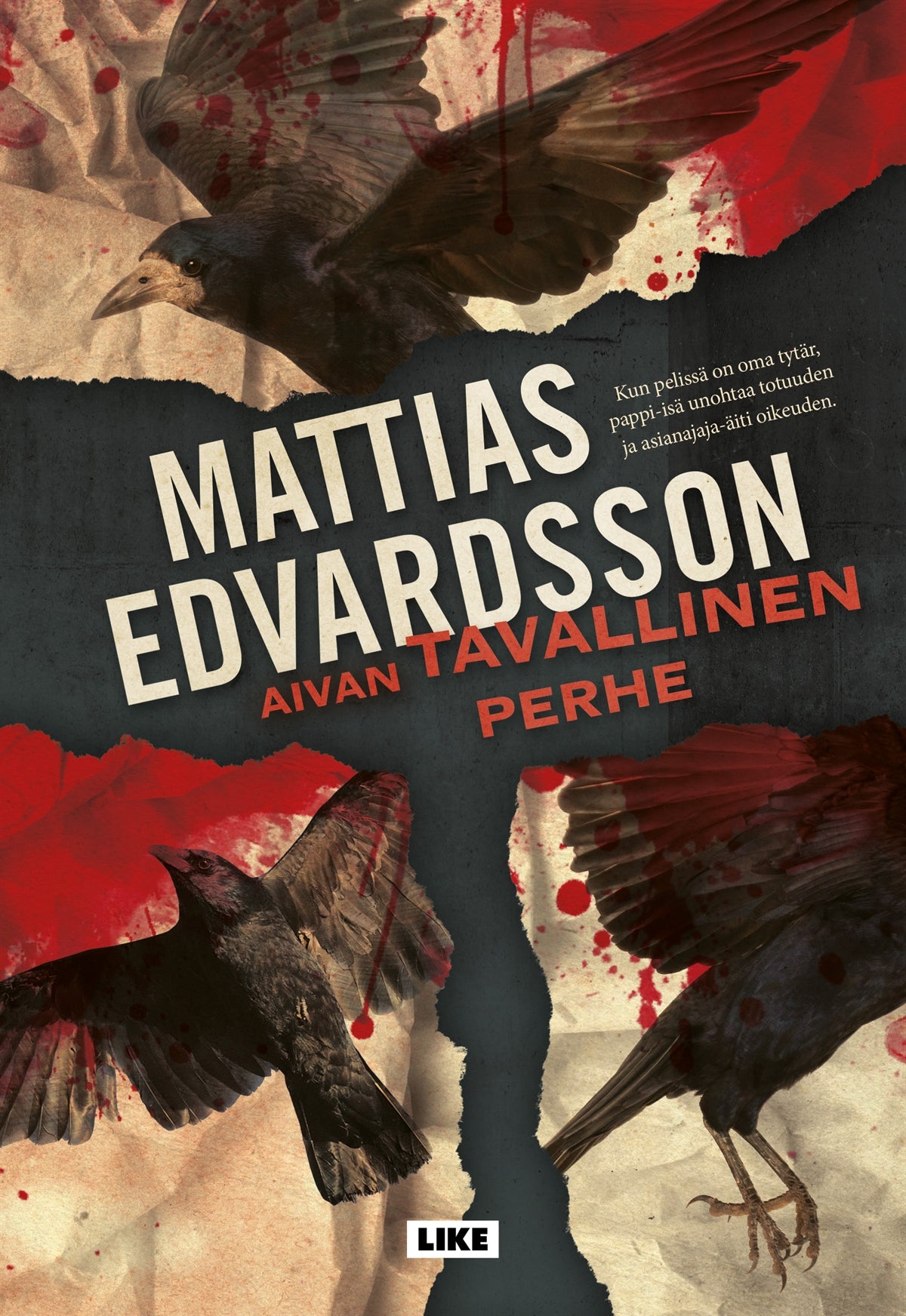 Aivan tavallinen perhe – E-bok