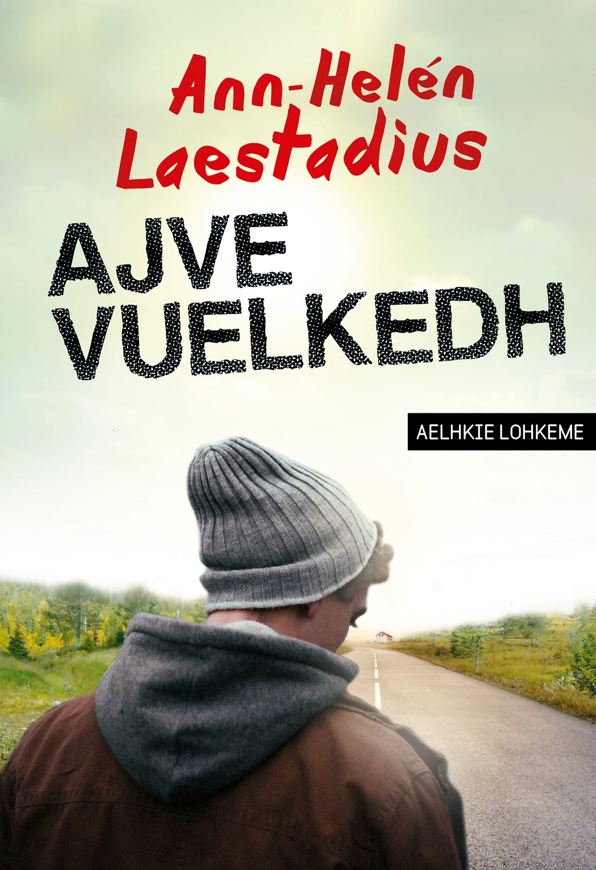 Ajve vuelkedh (lättläst) – E-bok