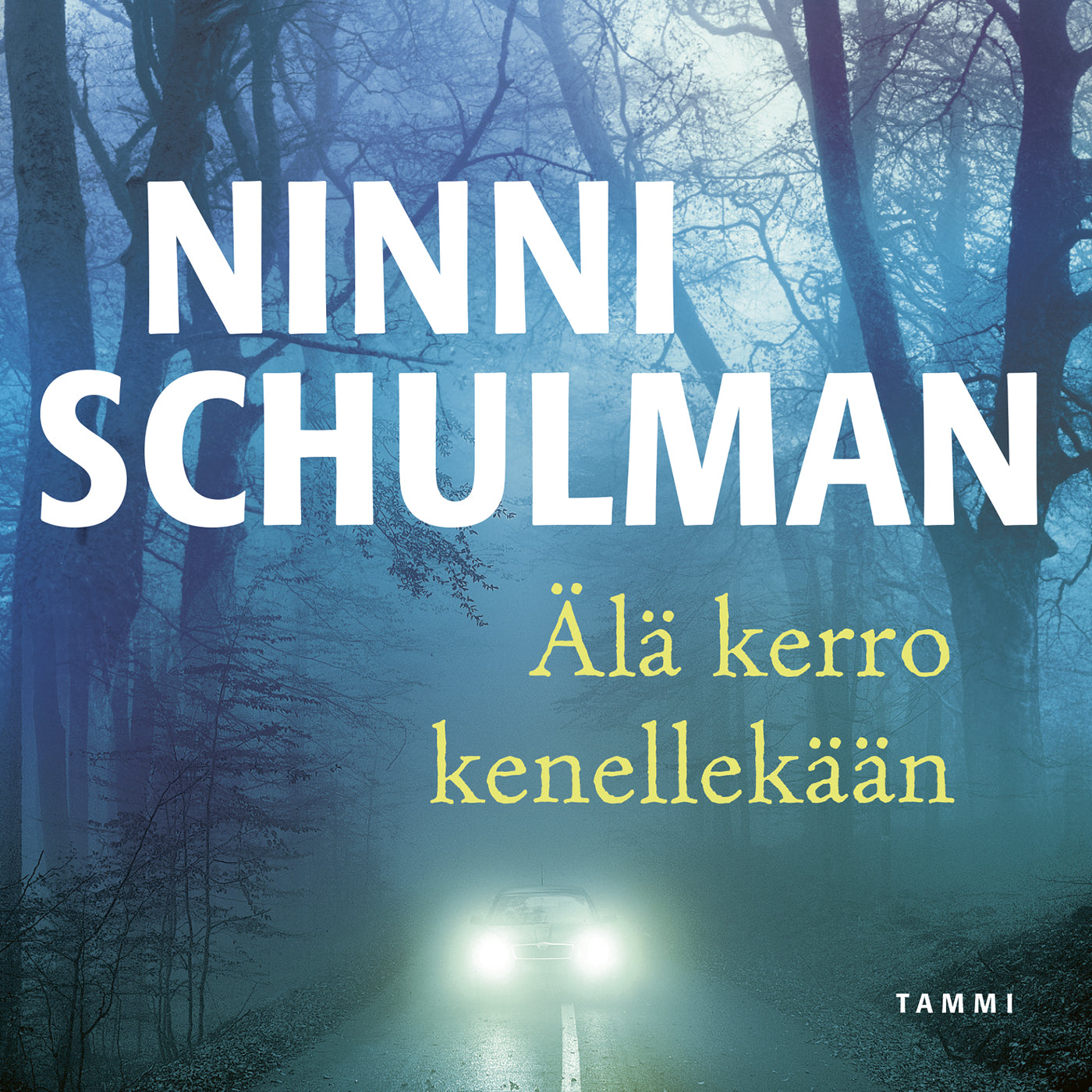 Älä kerro kenellekään – Ljudbok