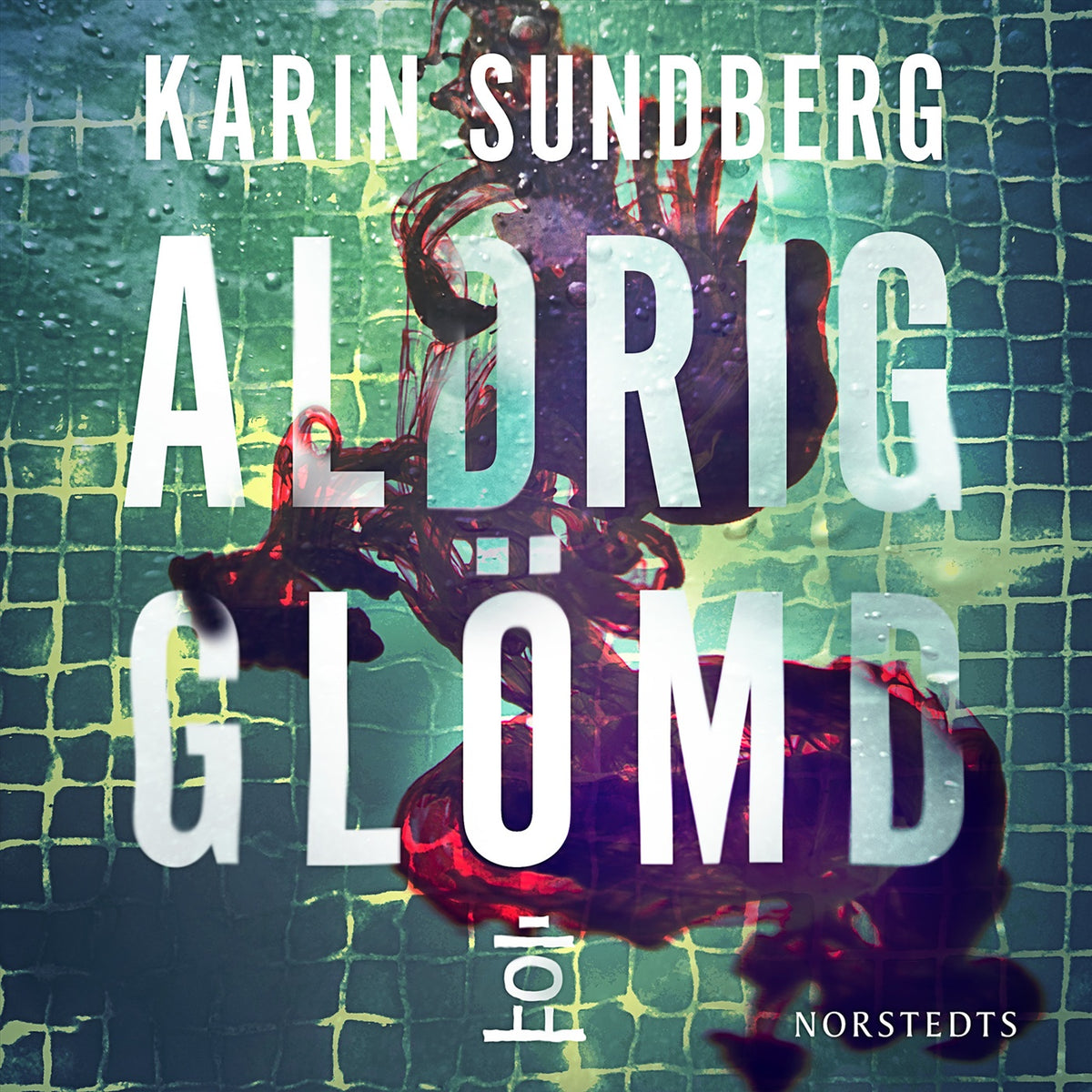 Aldrig glömd – Ljudbok