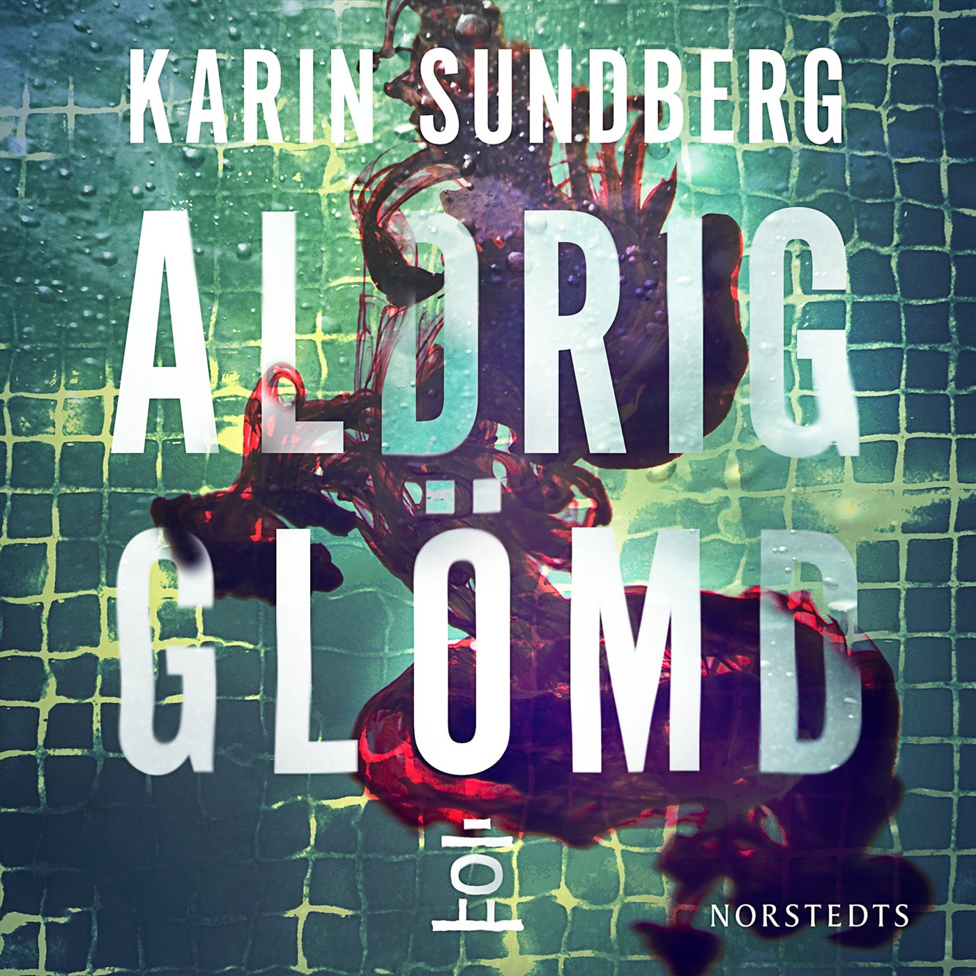 Aldrig glömd – Ljudbok