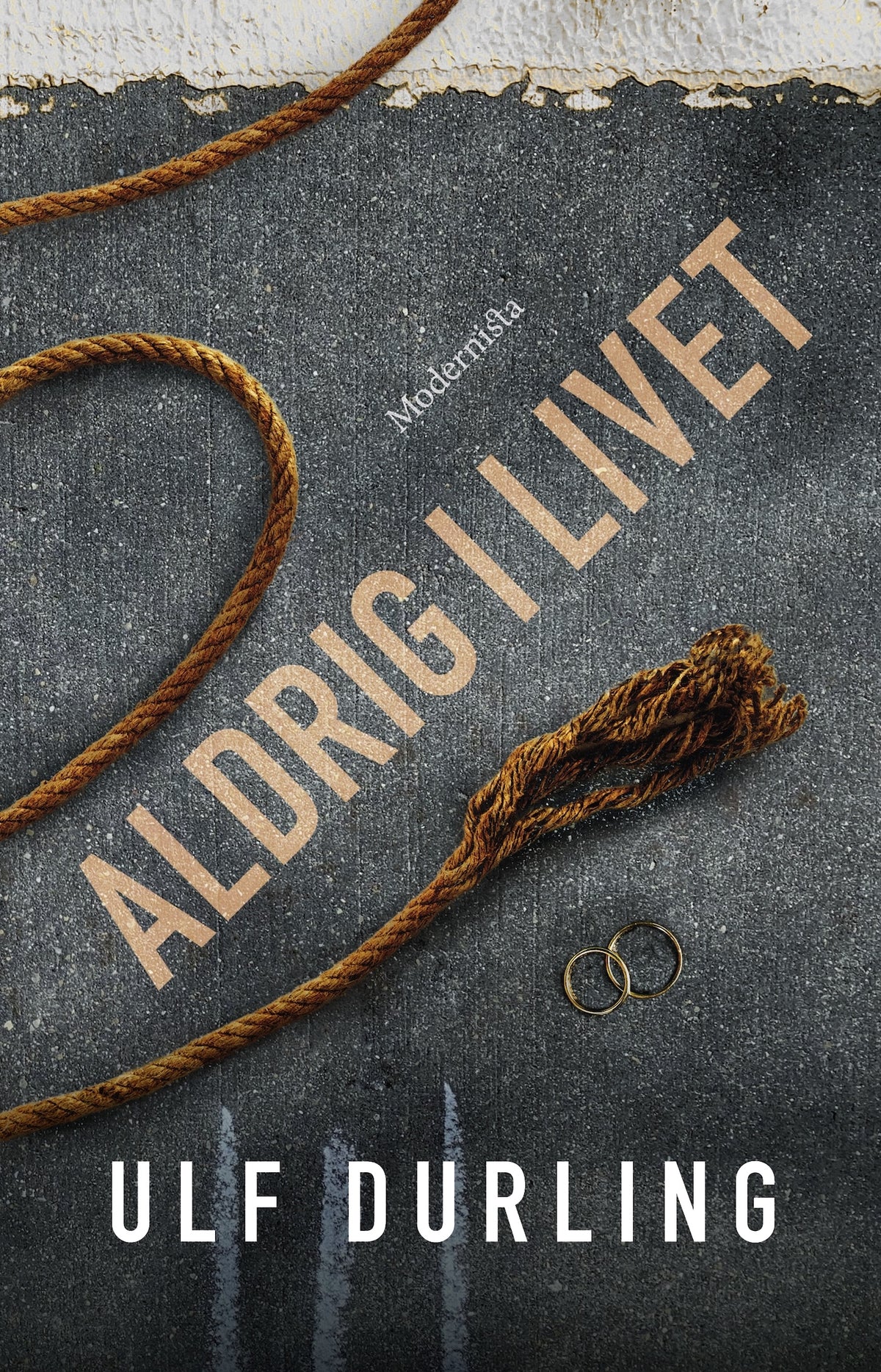 Aldrig i livet – E-bok