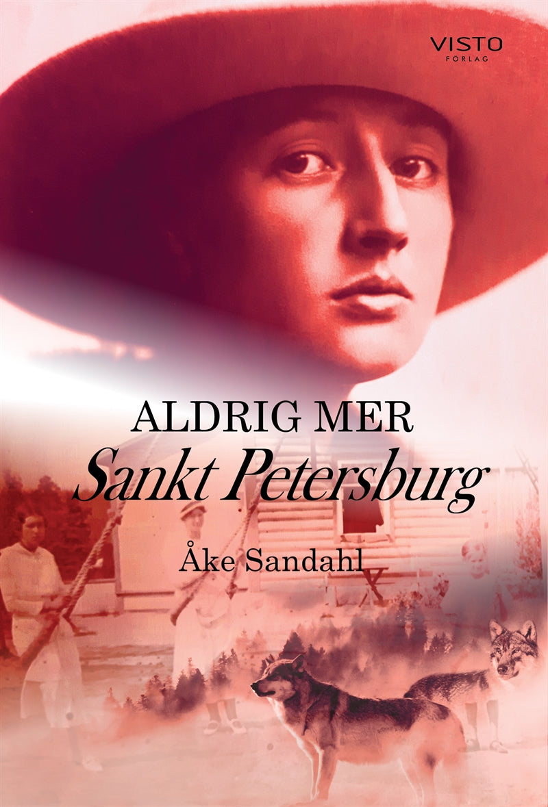 Aldrig mer Sankt Petersburg – E-bok