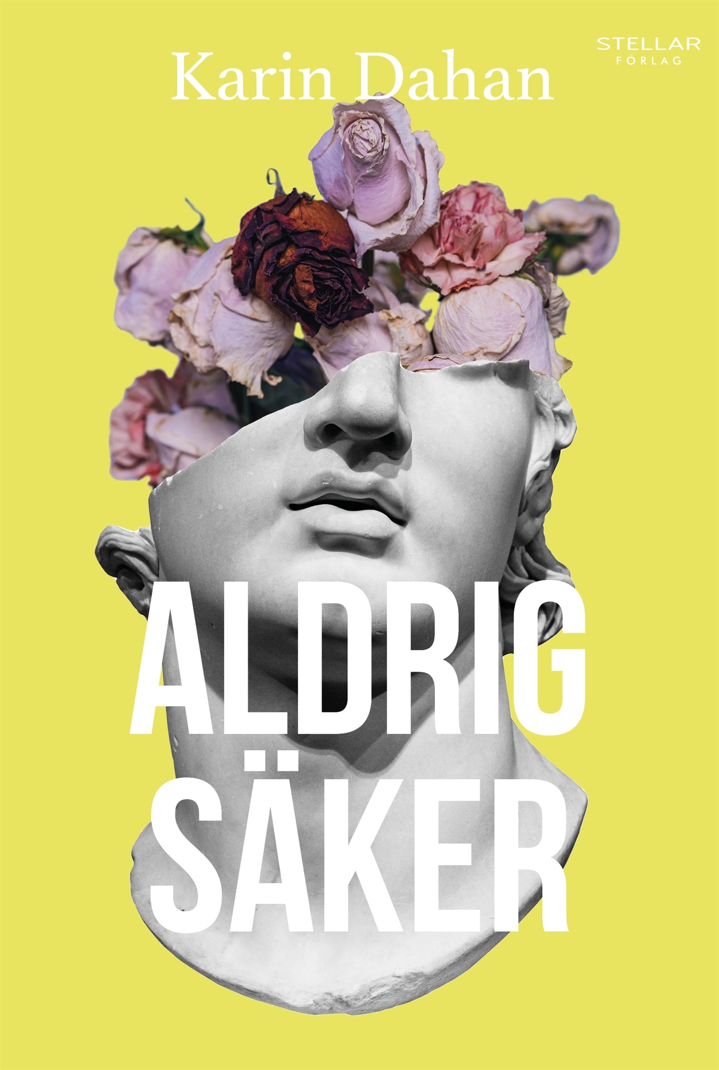 Aldrig säker – E-bok