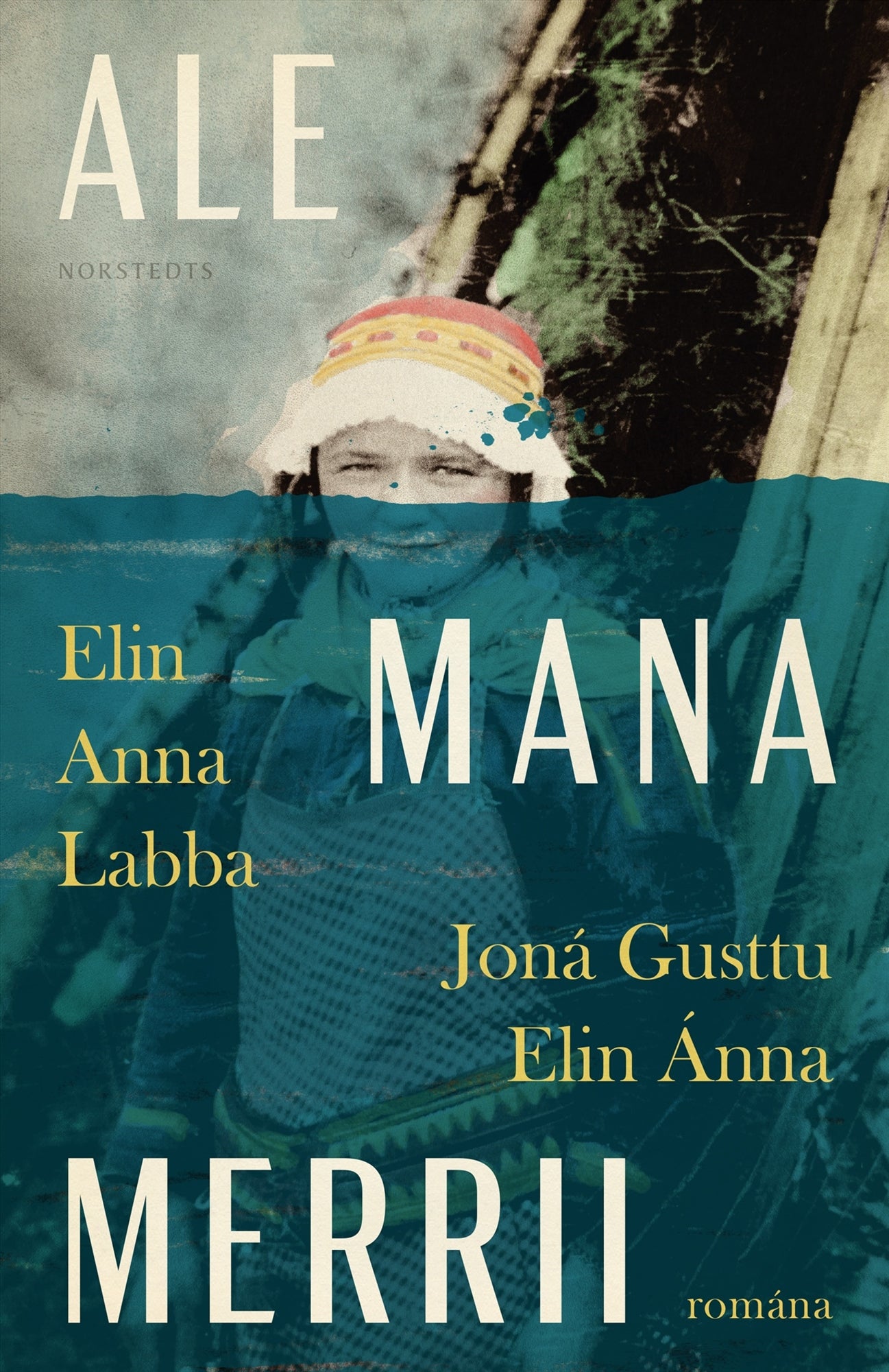 Ale mana merrii – E-bok