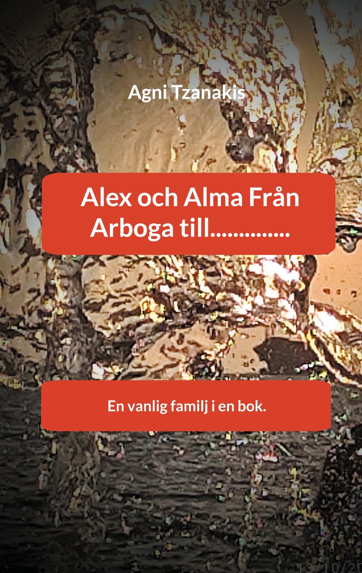 Alex och Alma Från Arboga till..............: En vanlig familj i en bok. – E-bok