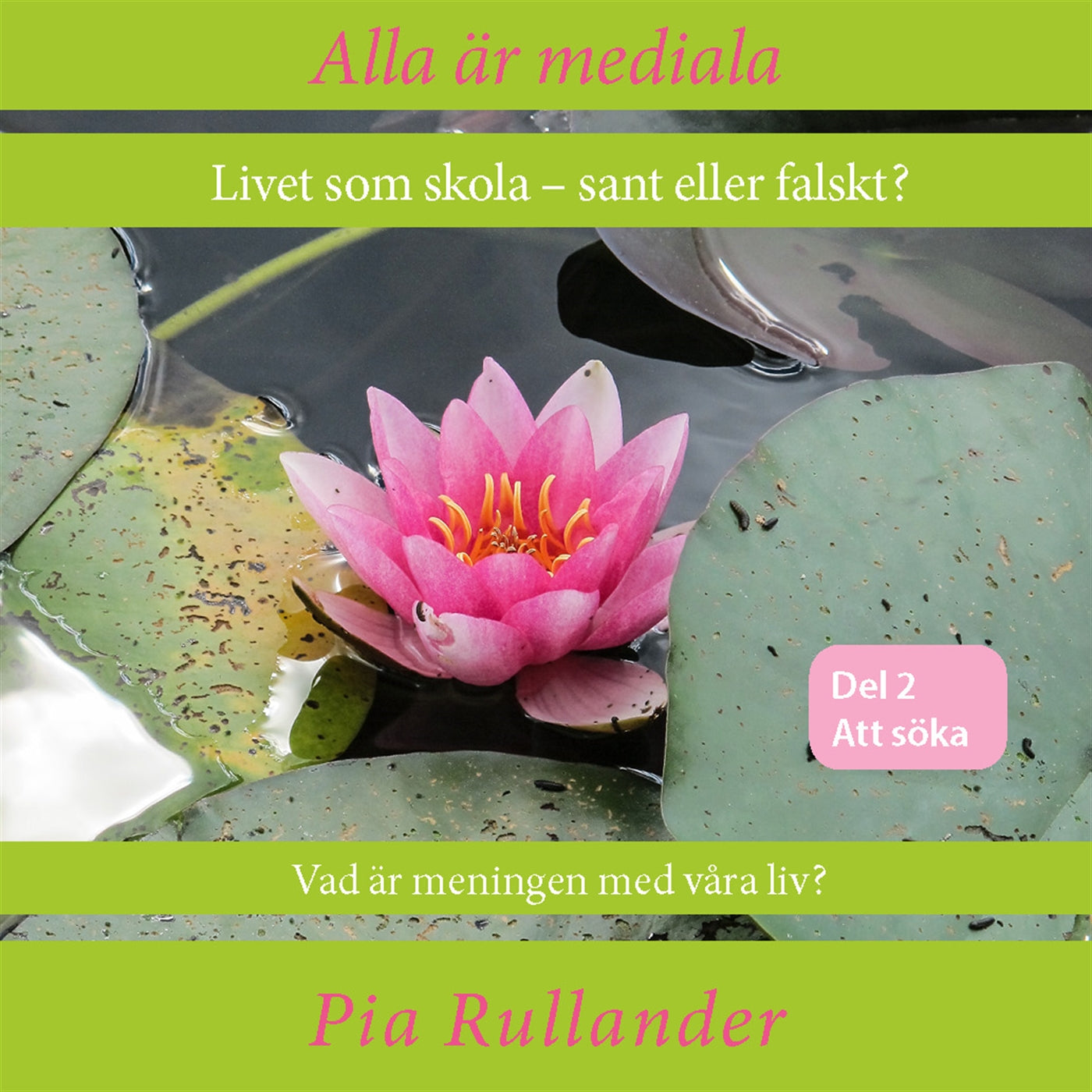 Alla är mediala. Livet som skola - sant eller falskt? Vad är meningen med våra liv? – Ljudbok
