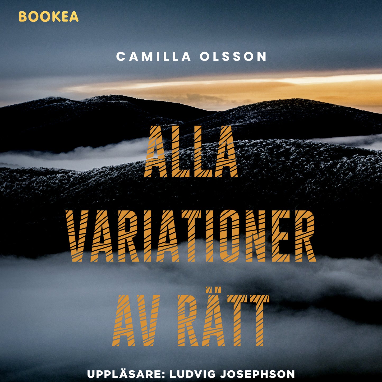 Alla variationer av rätt – Ljudbok