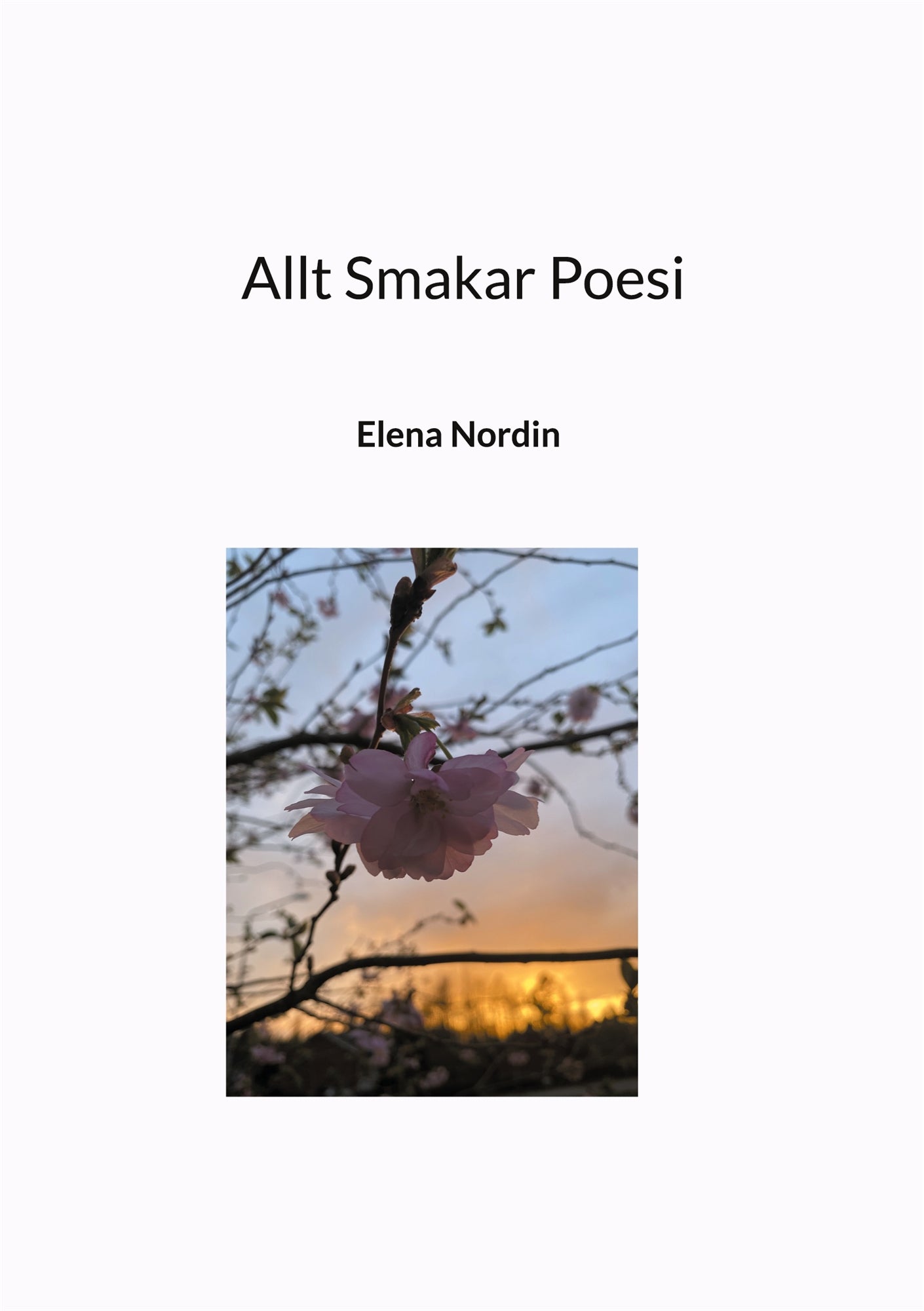Allt Smakar Poesi – E-bok