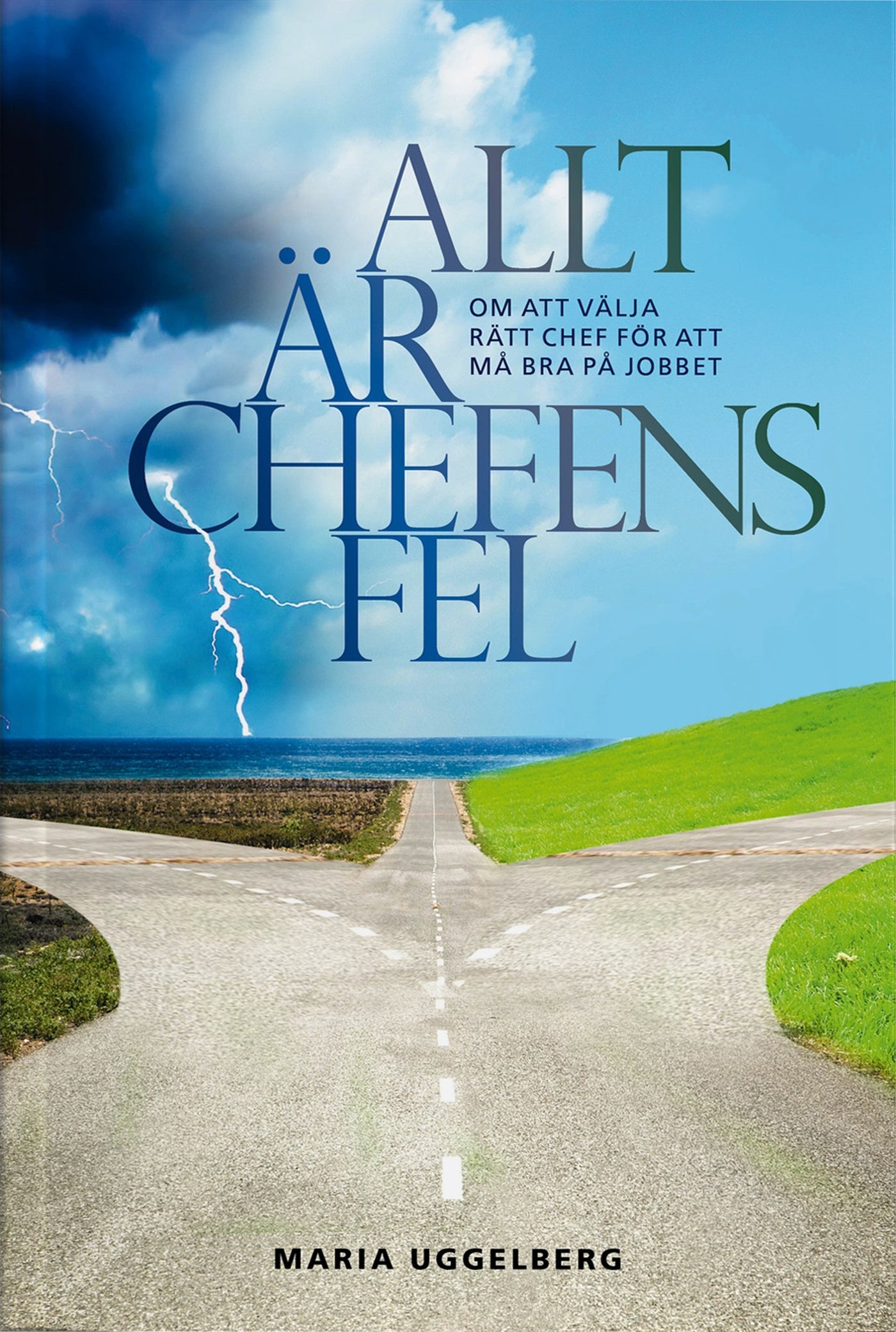 Allt är chefens fel – E-bok