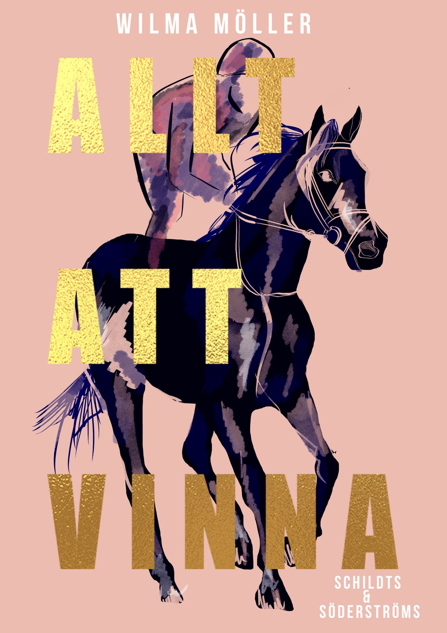 Allt att vinna – E-bok