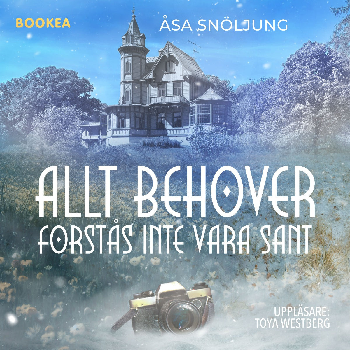 Allt behöver förstås inte vara sant – Ljudbok