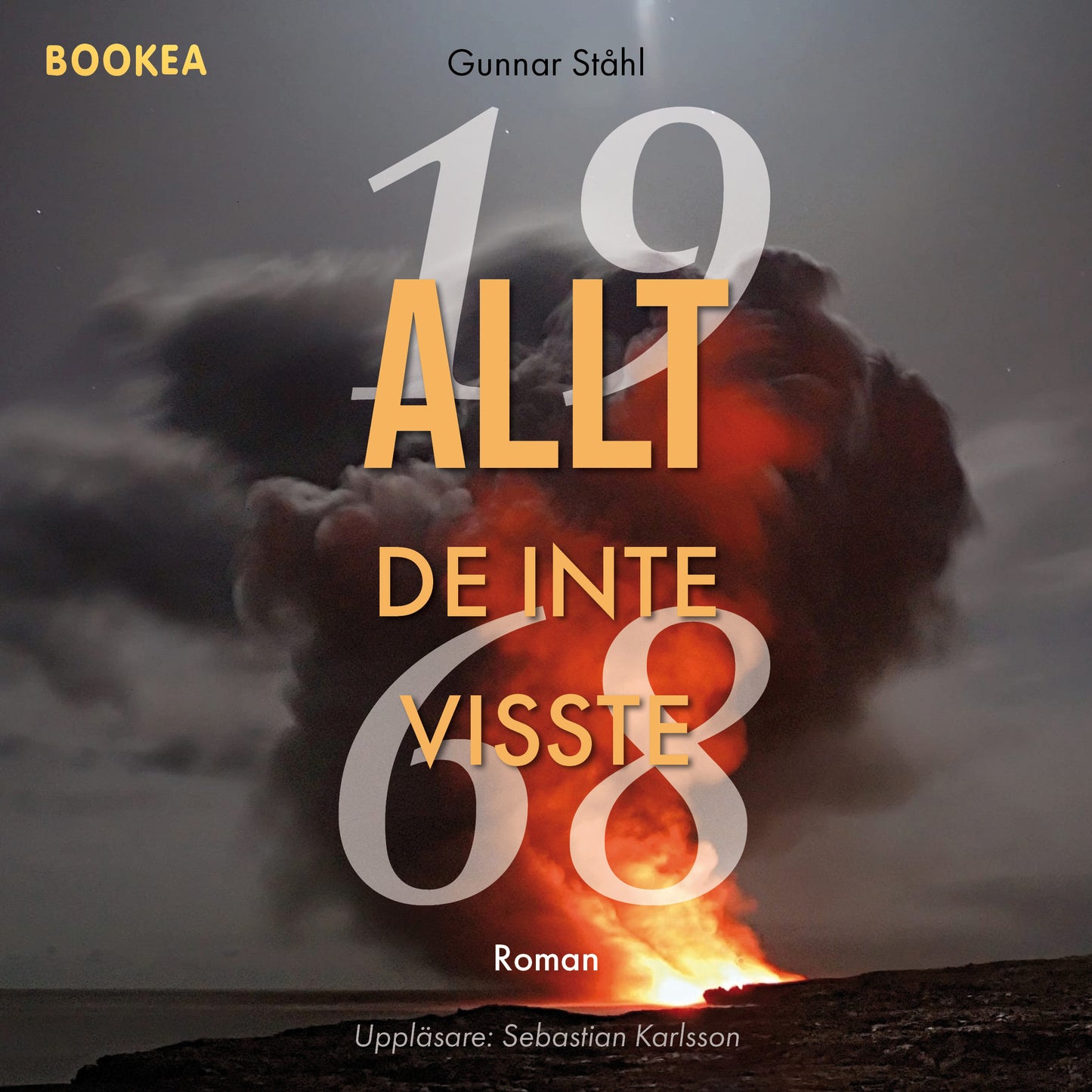 Allt de inte visste – Ljudbok