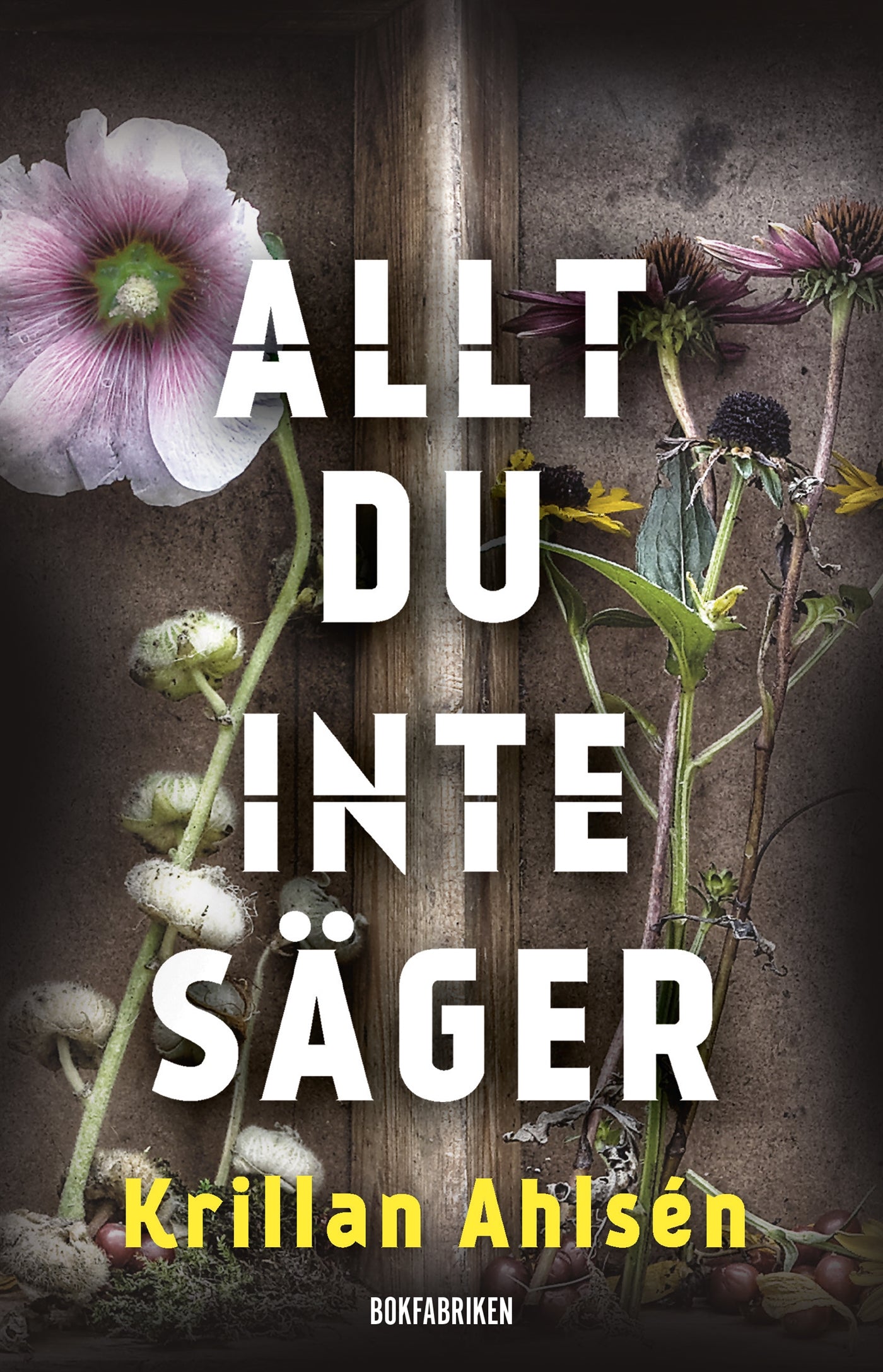 Allt du inte säger – E-bok