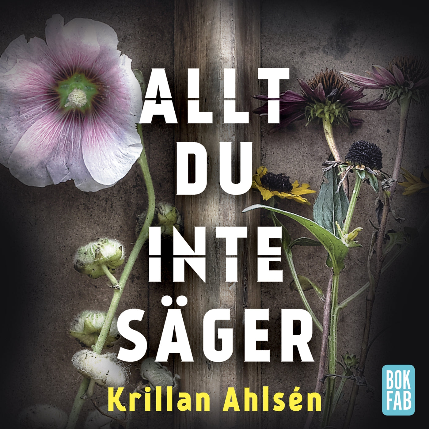 Allt du inte säger – Ljudbok