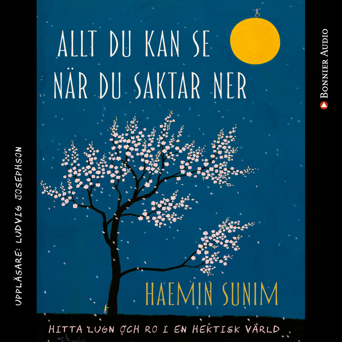 Allt du kan se när du saktar ner : hitta lugn och ro i en hektisk värld – Ljudbok