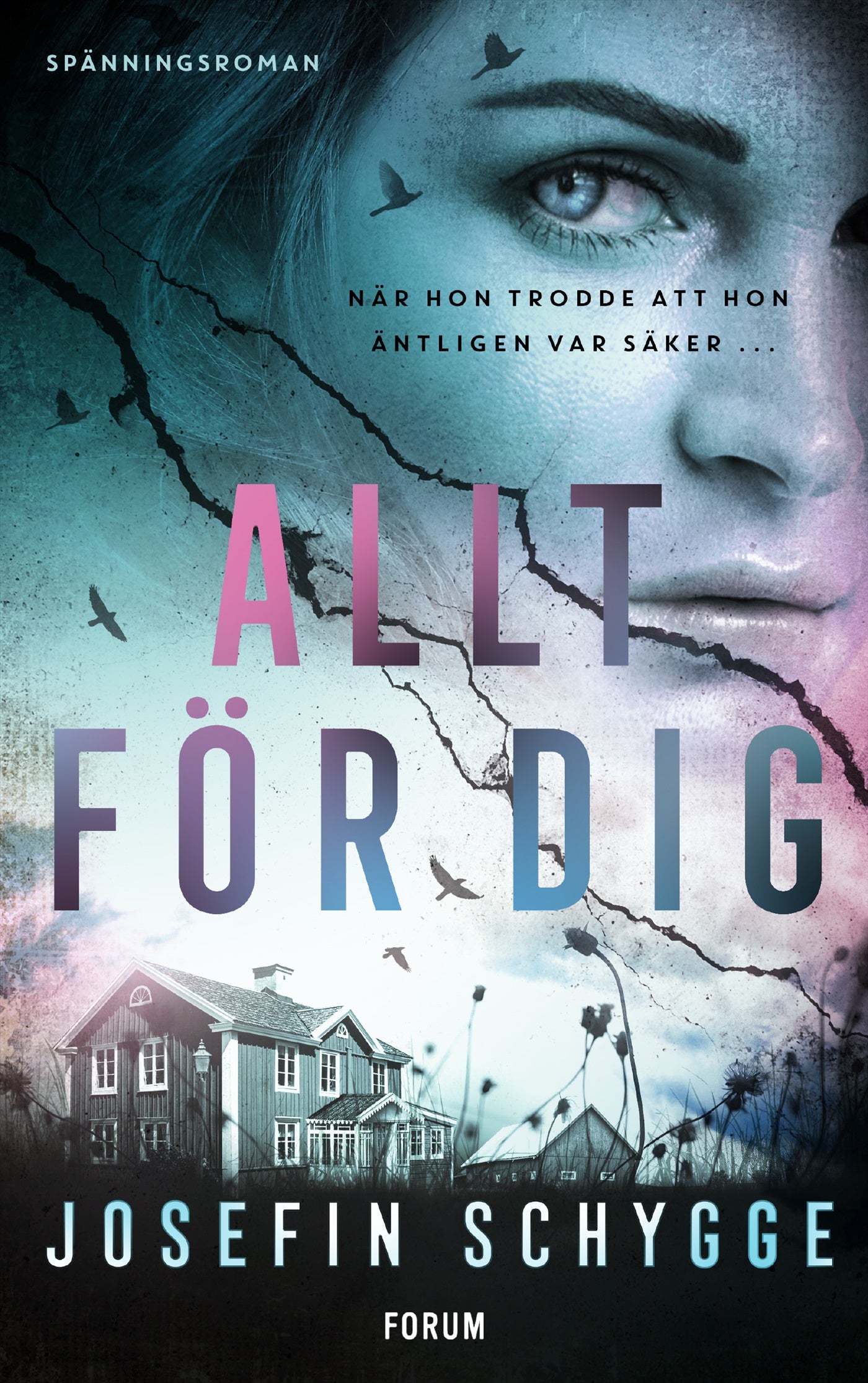 Allt för dig – E-bok