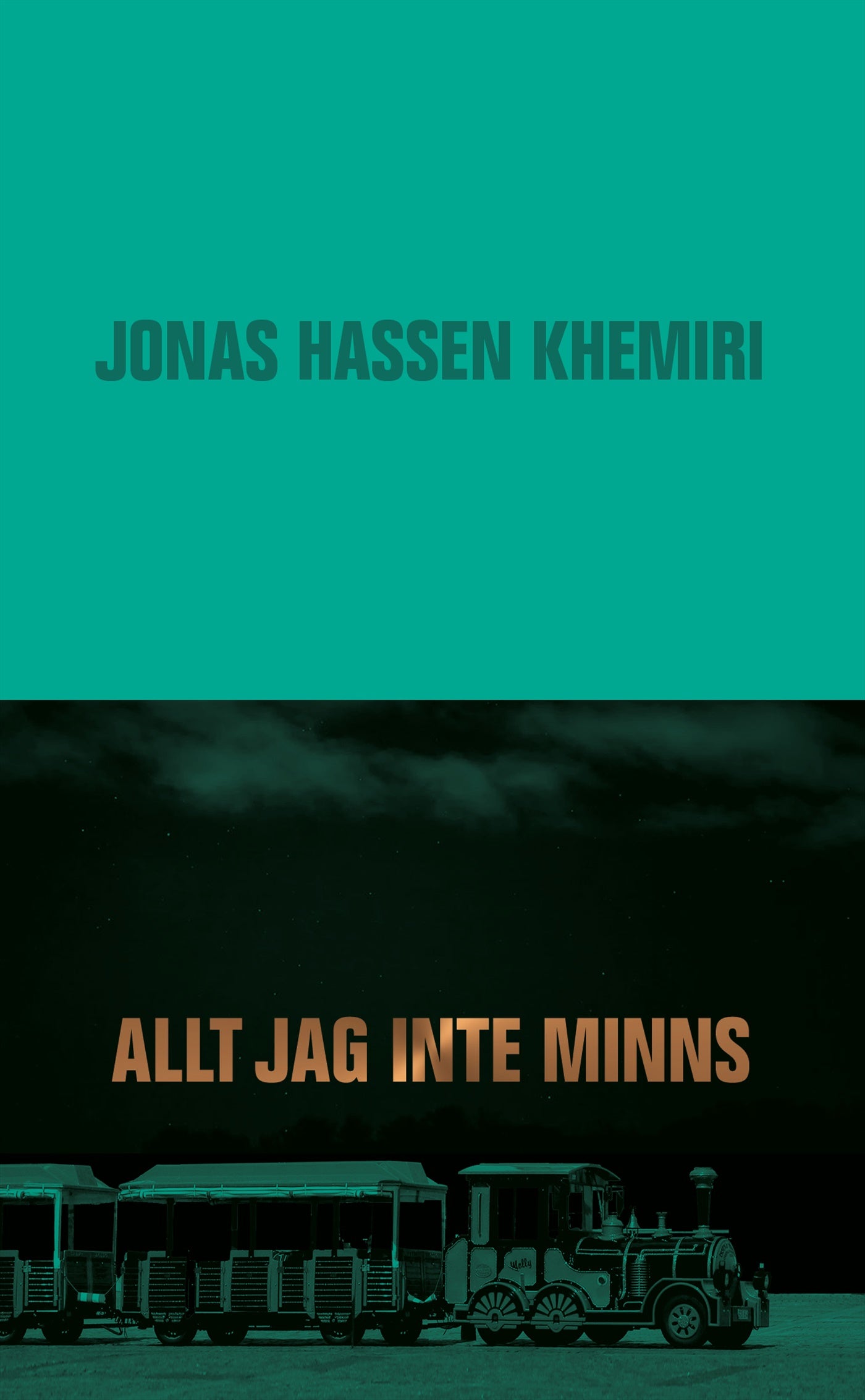 Allt jag inte minns – E-bok