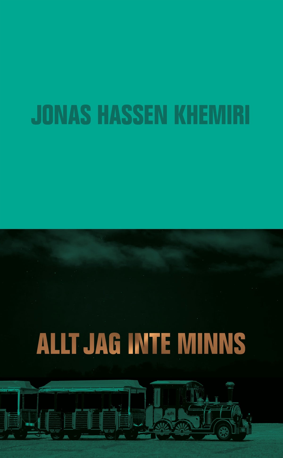 Allt jag inte minns – E-bok