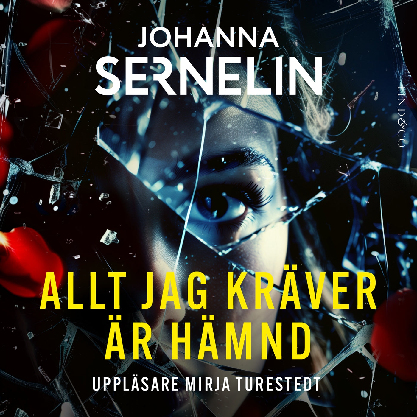 Allt jag kräver är hämnd – Ljudbok